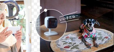 Panasonic スマ ホーム屋内カメラの口コミ 愛犬の留守番の様子が見れる 室内犬の暑さ対策グッズ特集ブログ
